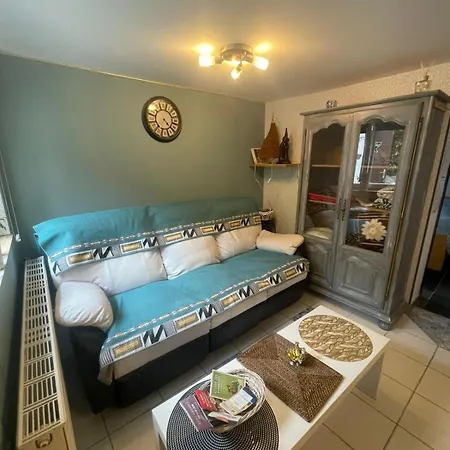 Apartamento Cosy Avec Terrasse, Jardin, Proche Foret