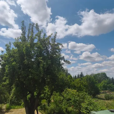 Apartamento Cosy Avec Terrasse, Jardin, Proche Foret